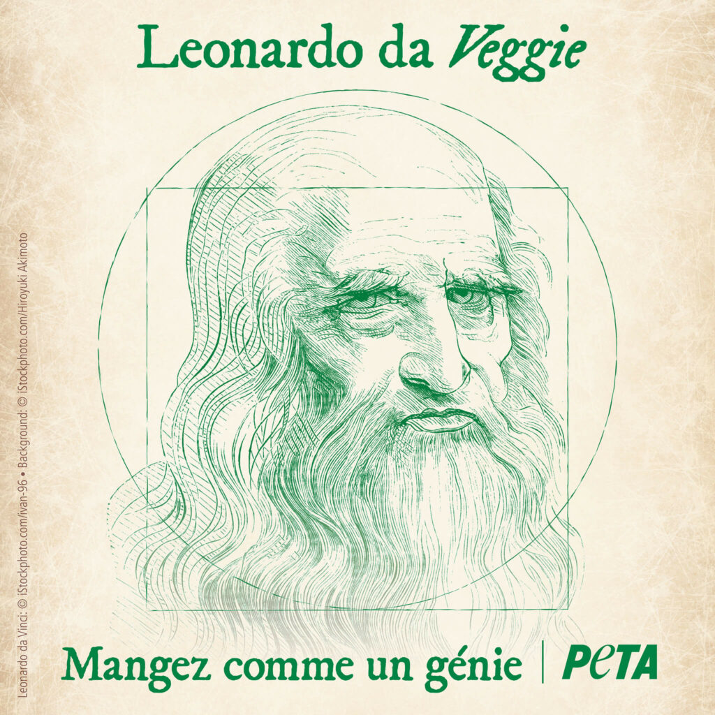 Leonard-de-Vinci-avait-500-ans-davance-en-terme-de-cause-animale-vegan-vegnature-veg-nature-montpellier
