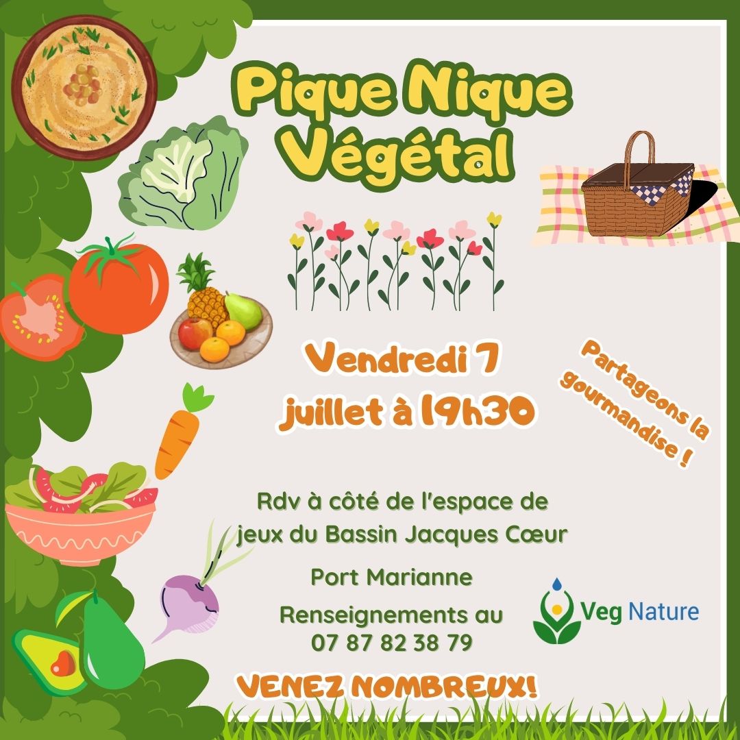 pique-nique-vegetal-7-juillet-vegan-montpellier-vegan-vegnature