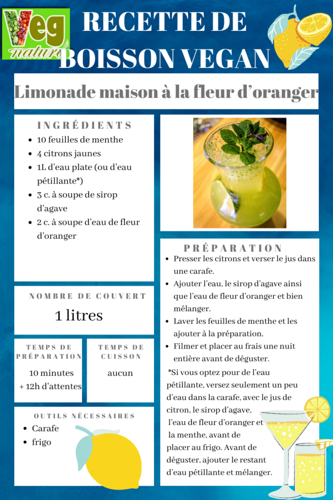 limonade-vegan-vegnature-montpellier